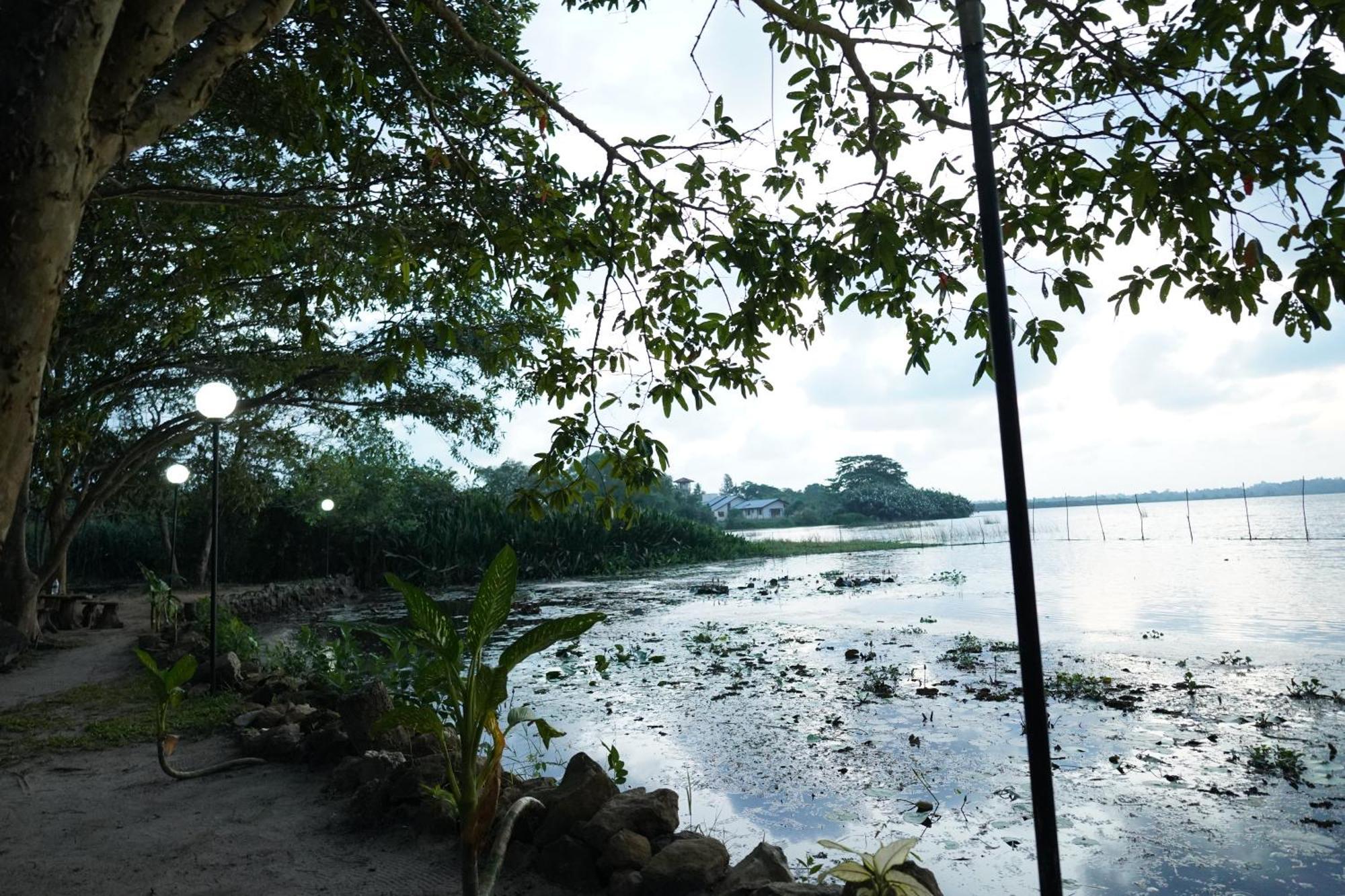 Lake Resort Bolgoda Wadduwa Buitenkant foto