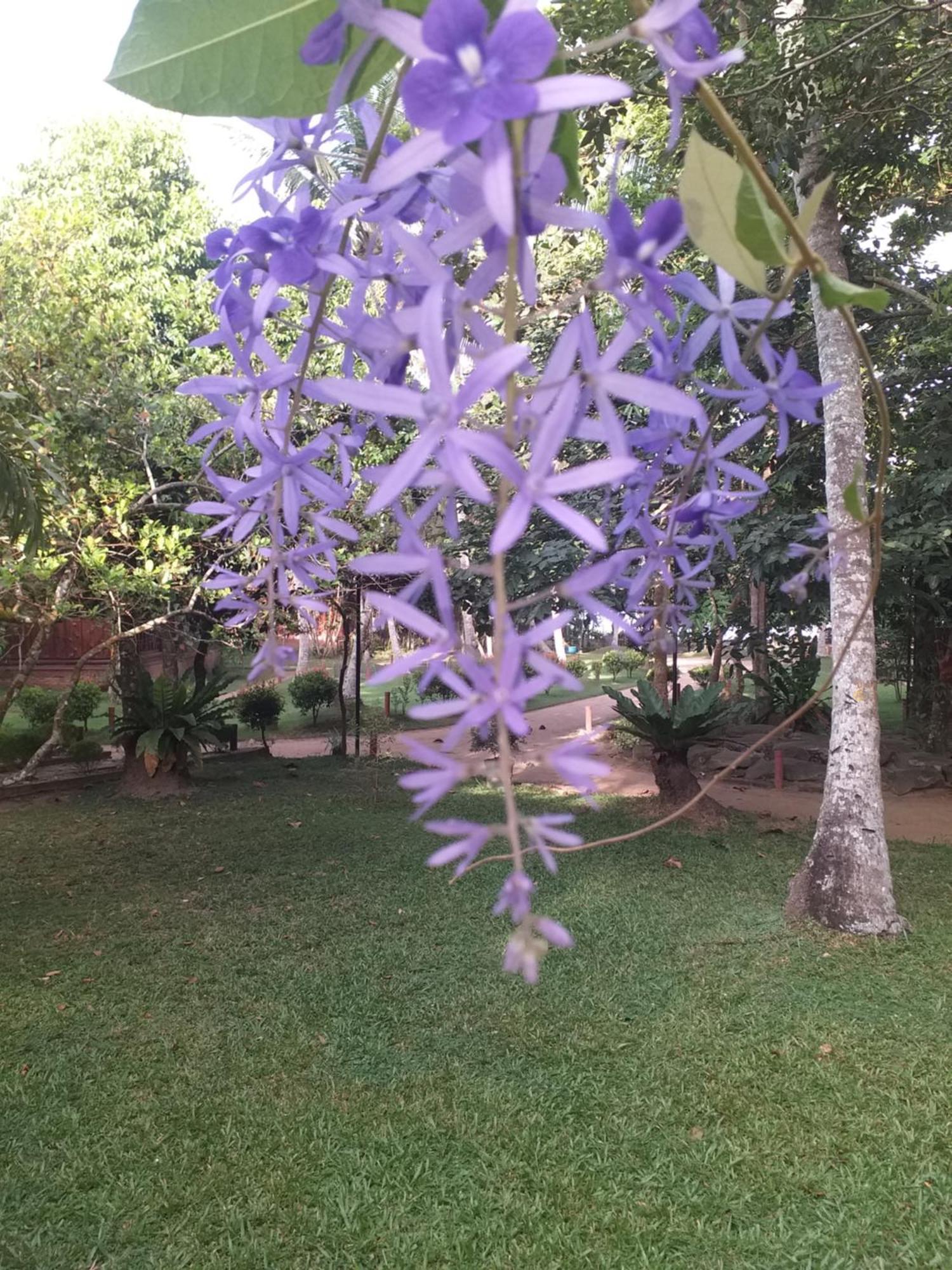 Lake Resort Bolgoda Wadduwa Buitenkant foto